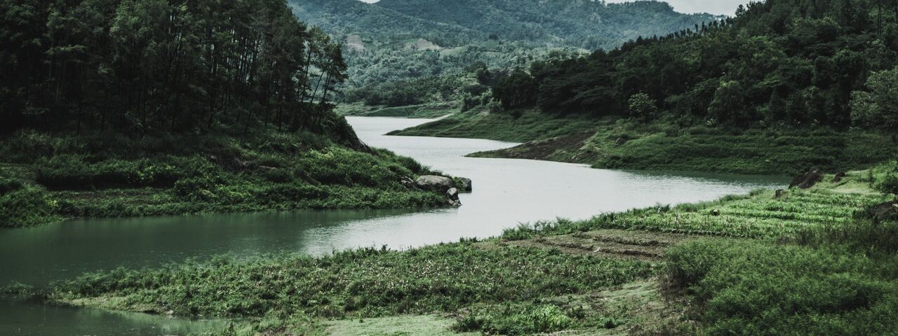 green-grass-field-and-mountain-1034887.jpg